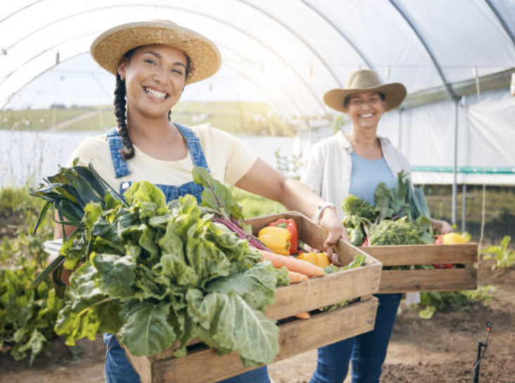 Farmer Image 15