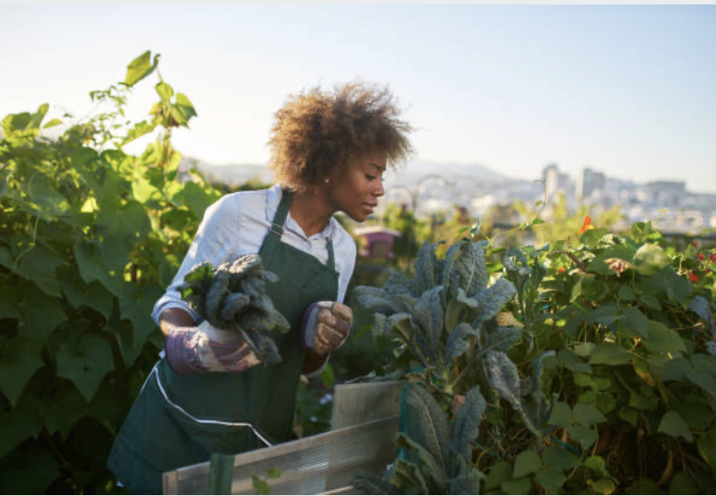 Farmer Image 2