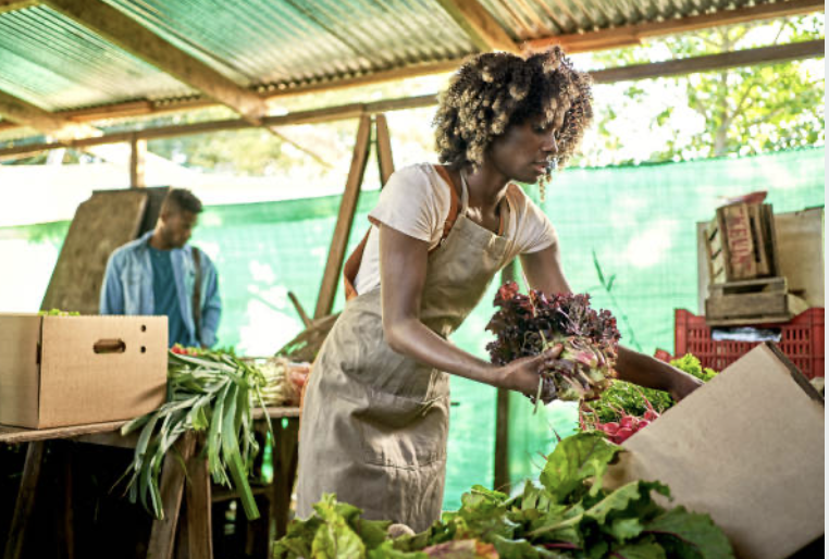 Farmer Image 4