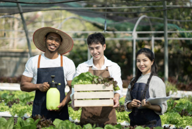 Farmer Image 9